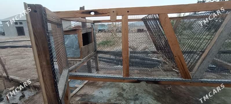 Ketek - Balkanabat - img 1