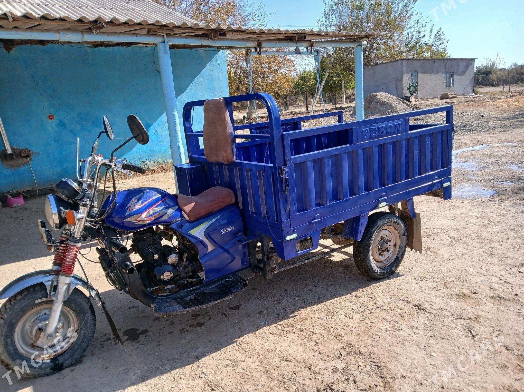 Fekon FK200-14G 2015 - 22 000 TMT - Sarahs - img 2