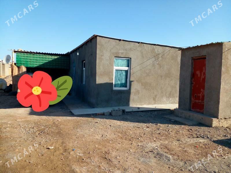 tejen satlyk jay - Tejen - img 1