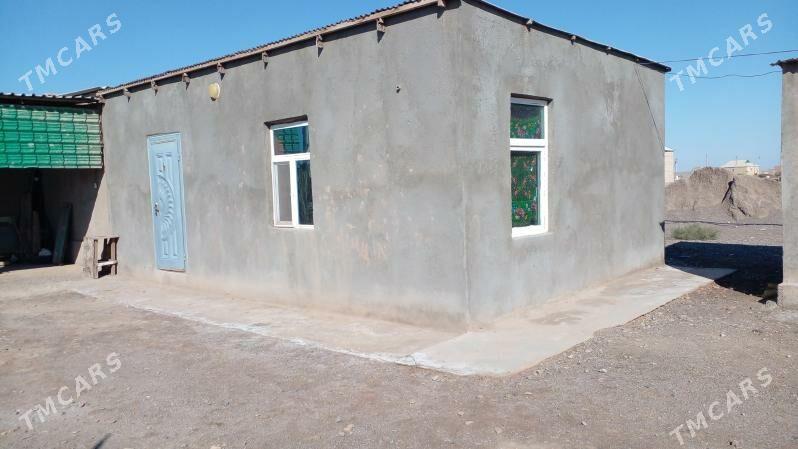 tejen satlyk jay - Tejen - img 2