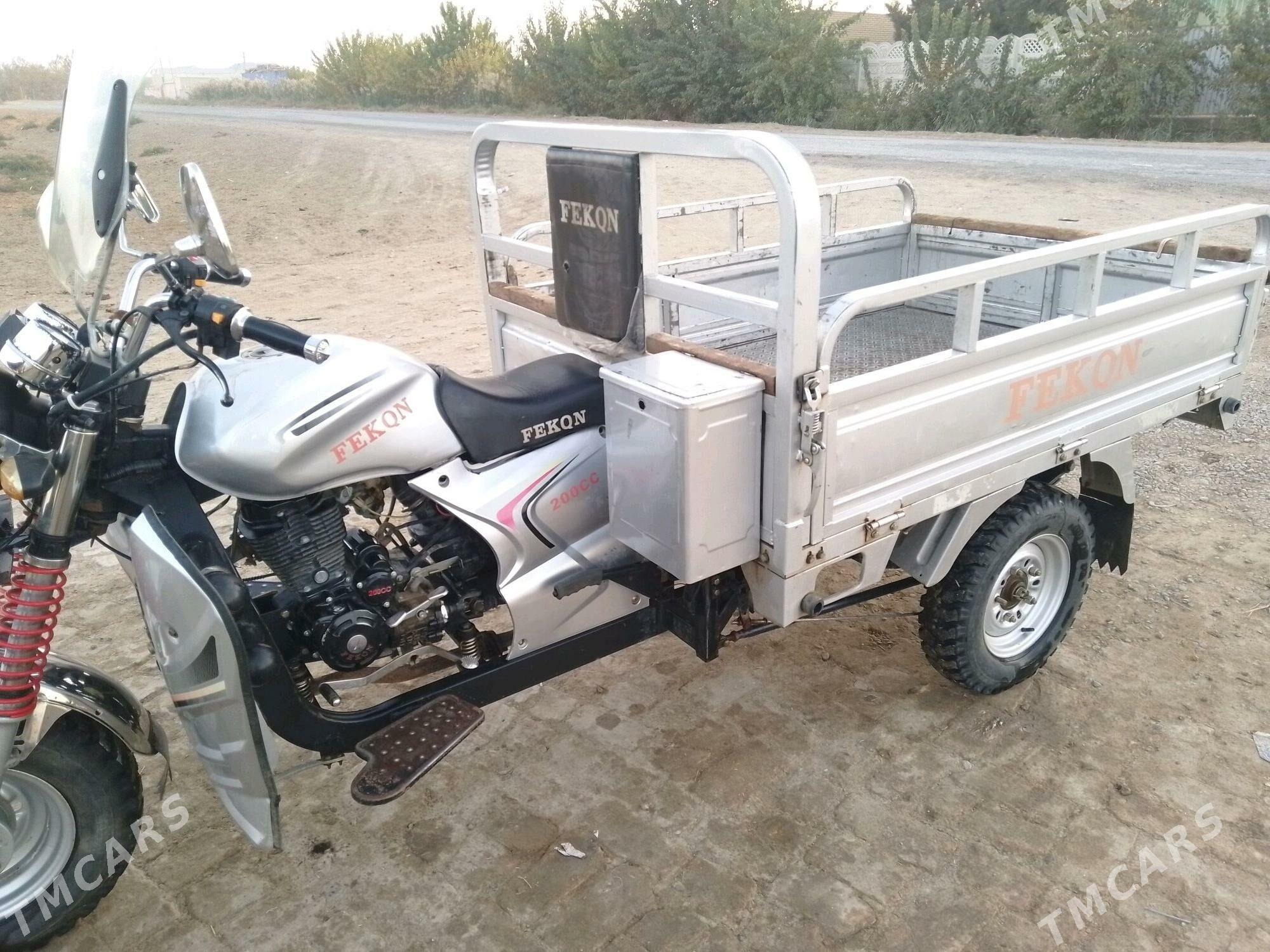 Fekon FK150-8G 2005 - 24 000 TMT - Mary - img 2