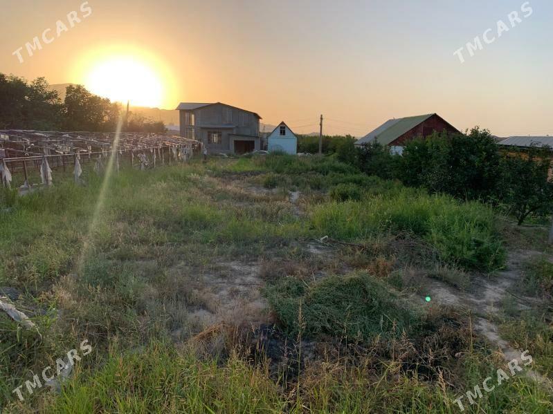 Bagyr - Bagyr - img 2