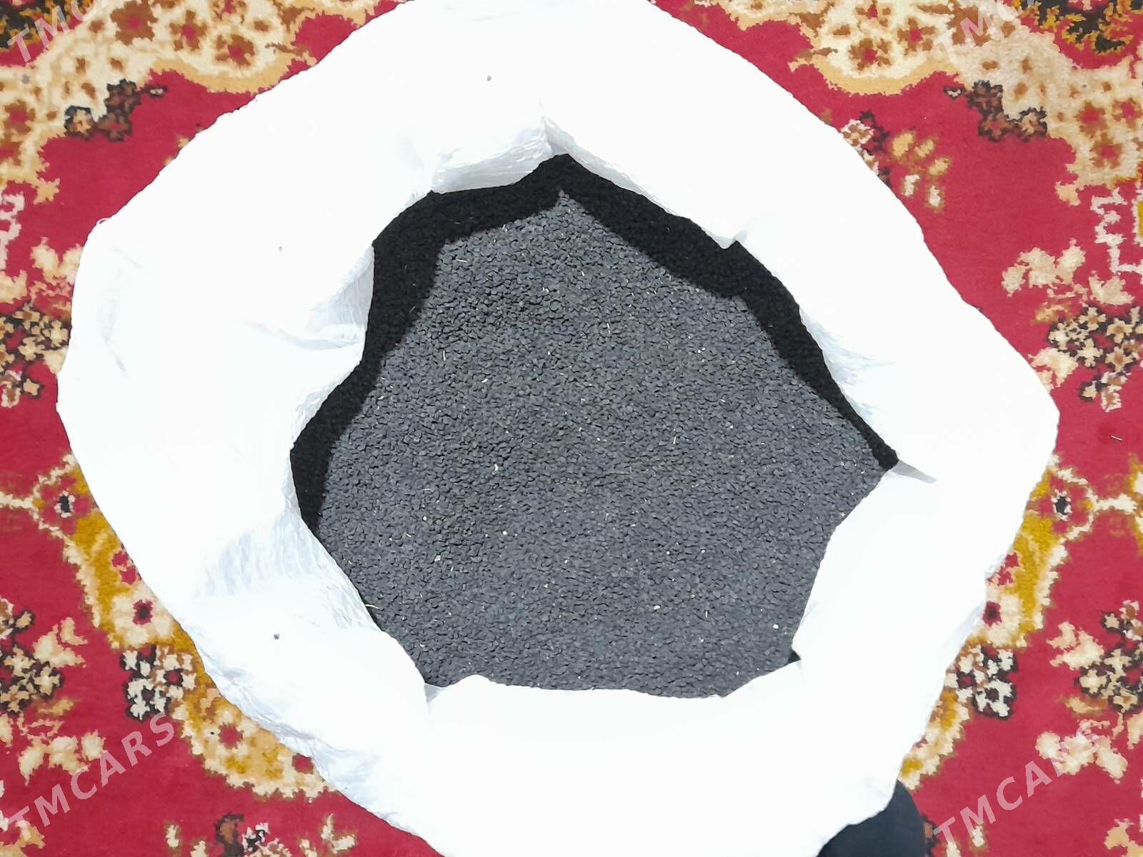 Sogan tohum - Kaka - img 2