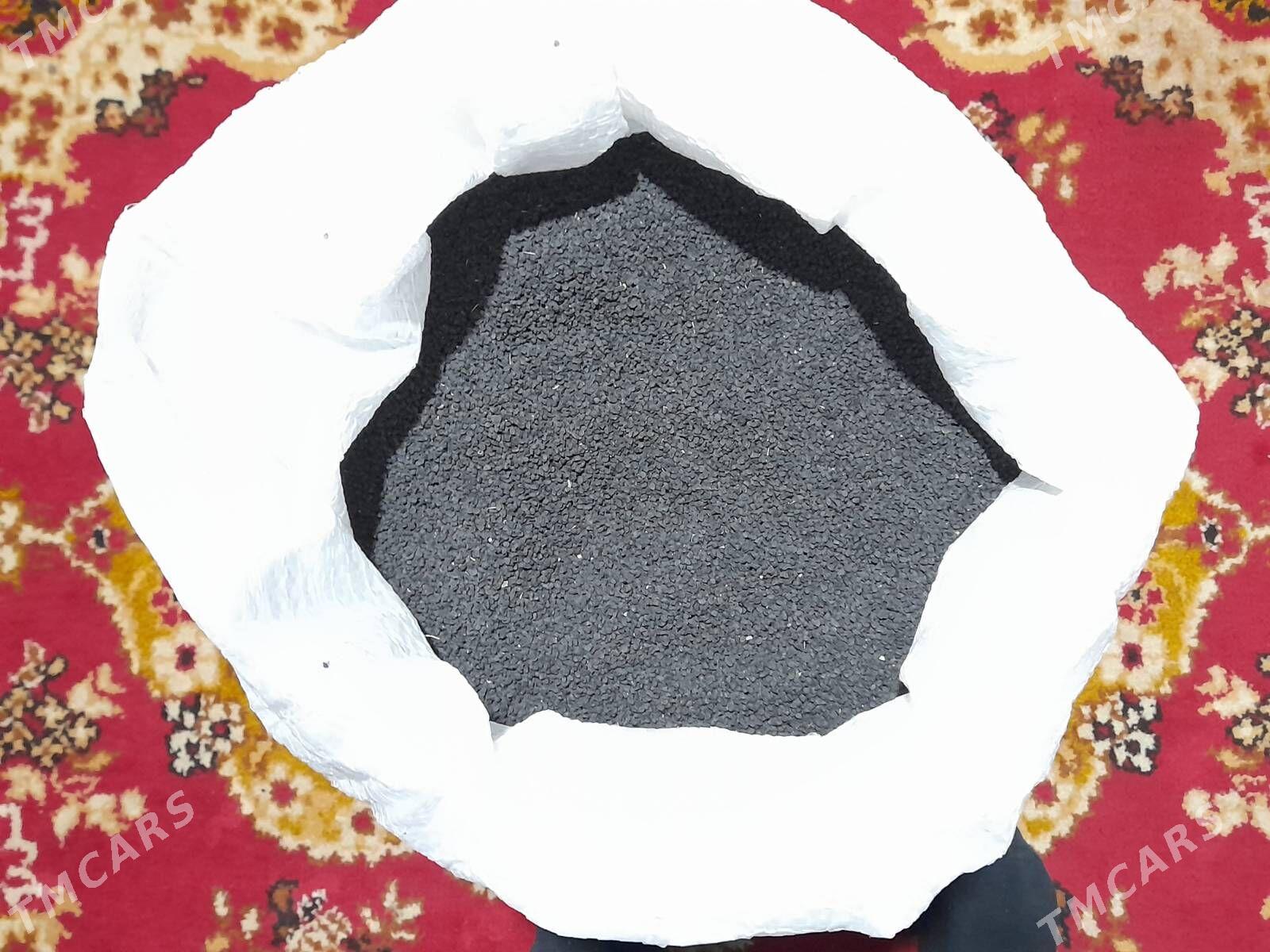 Sogan tohum - Kaka - img 3