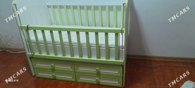 çaga krowady - Aşgabat - img 1