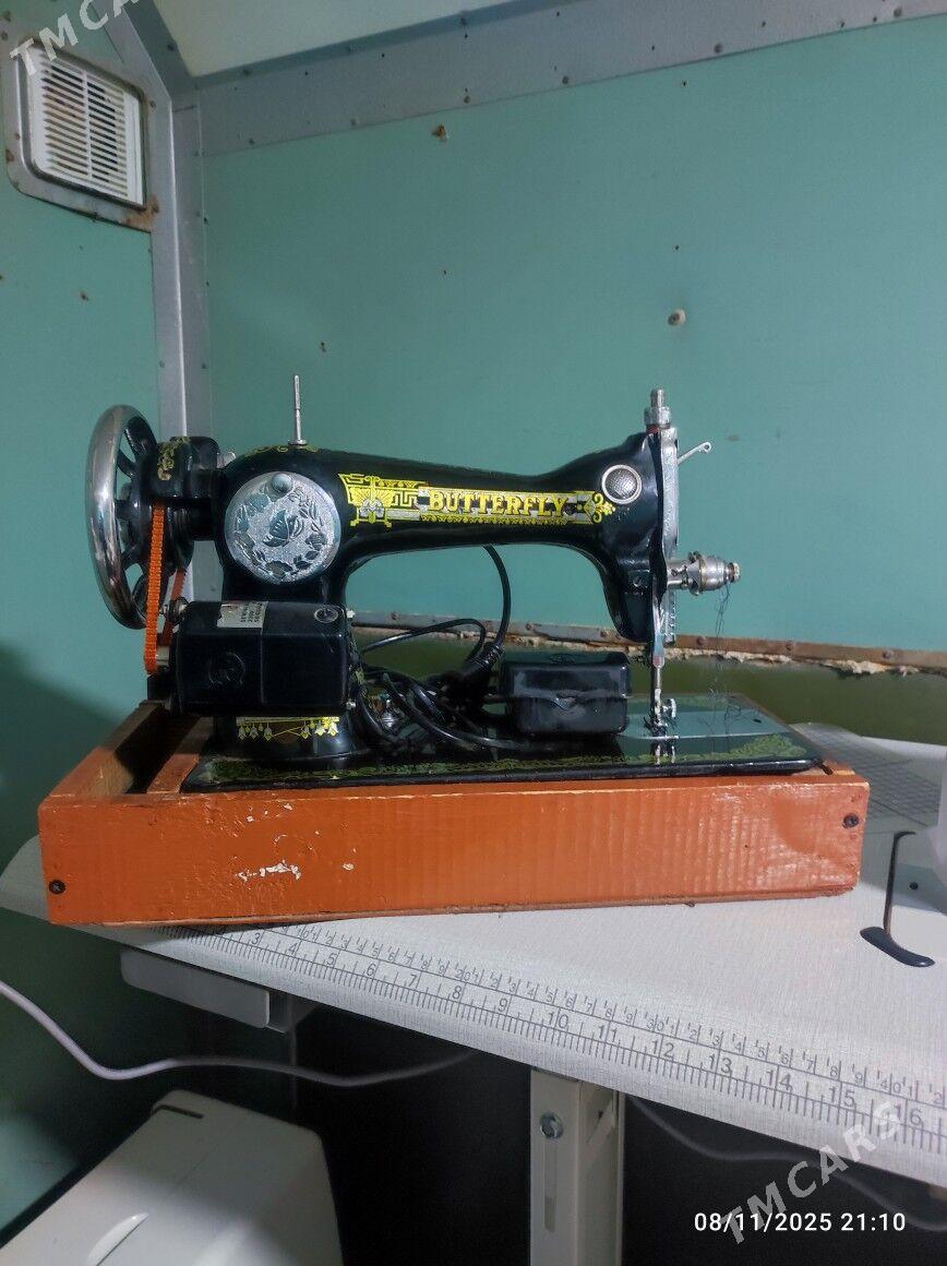 tikin massyn - Гумдаг - img 2