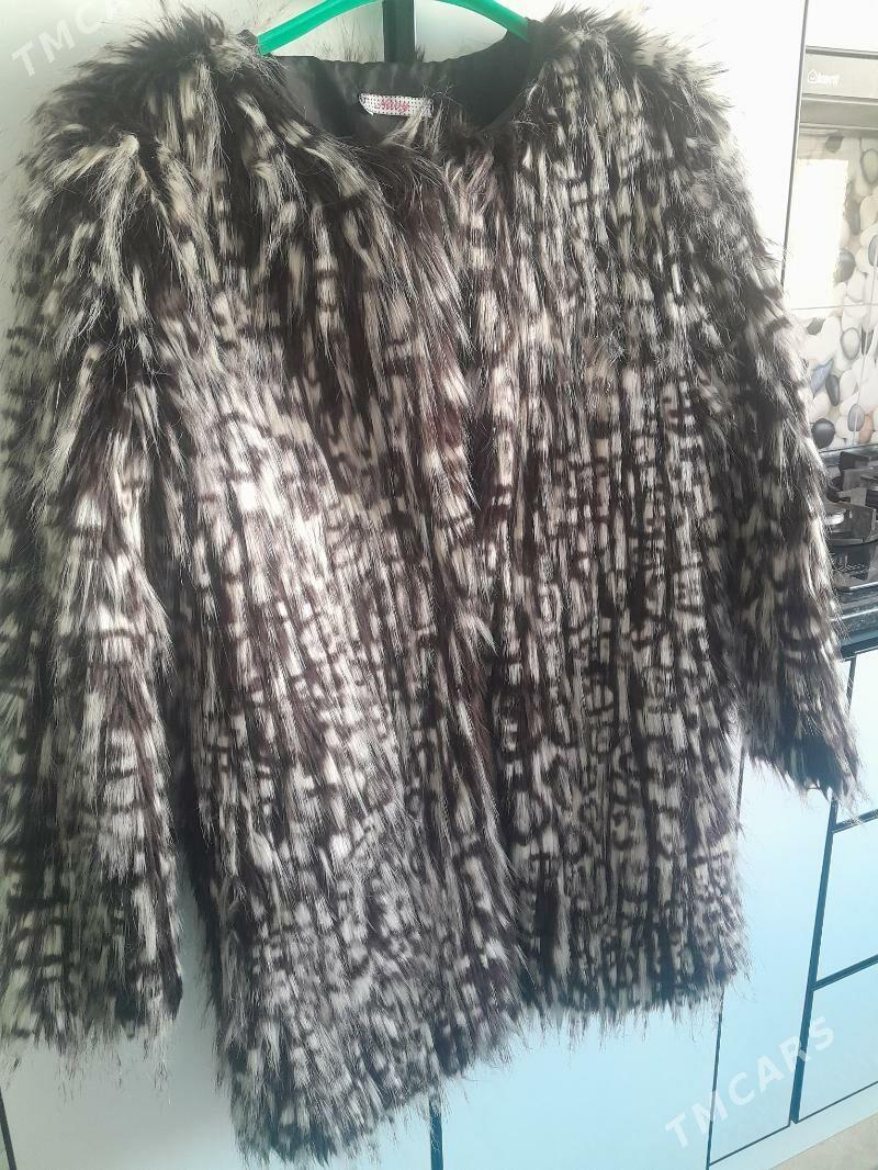 Şuba - Balkanabat - img 2