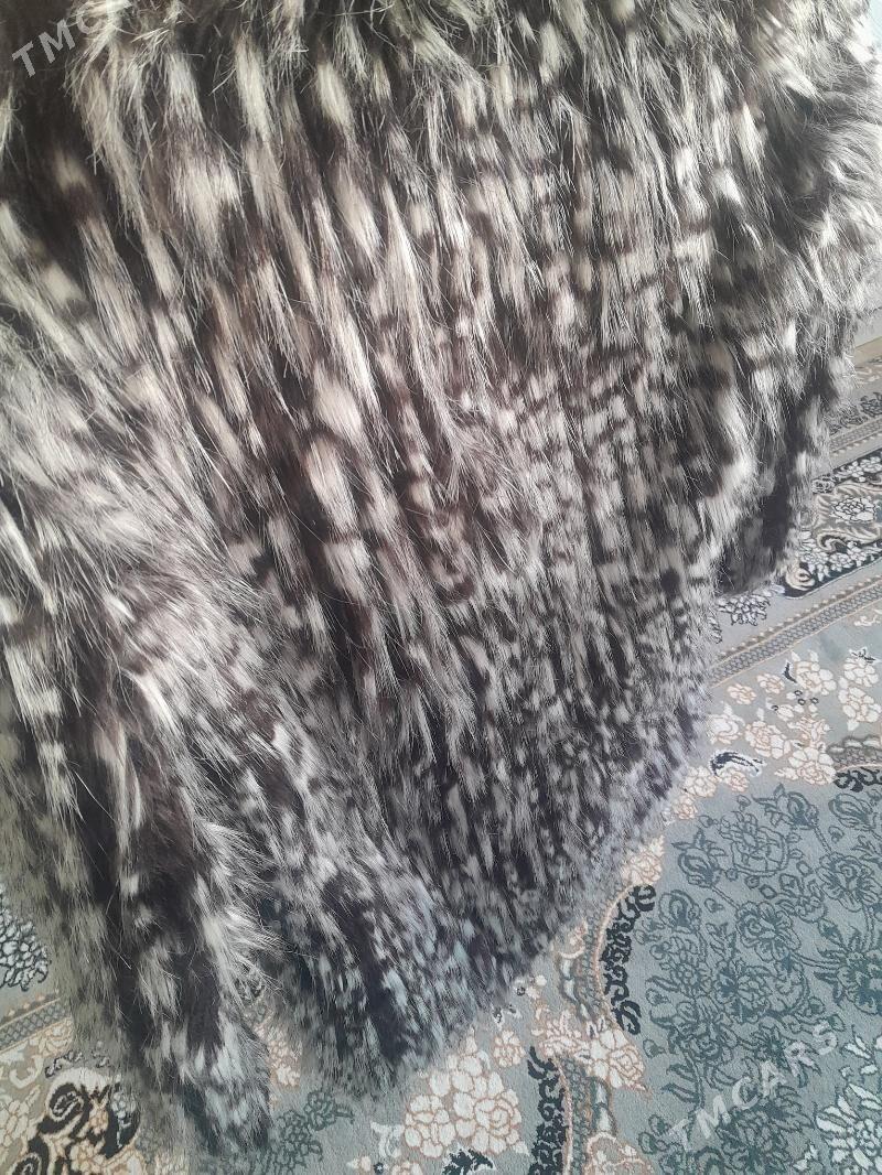 Şuba - Balkanabat - img 3