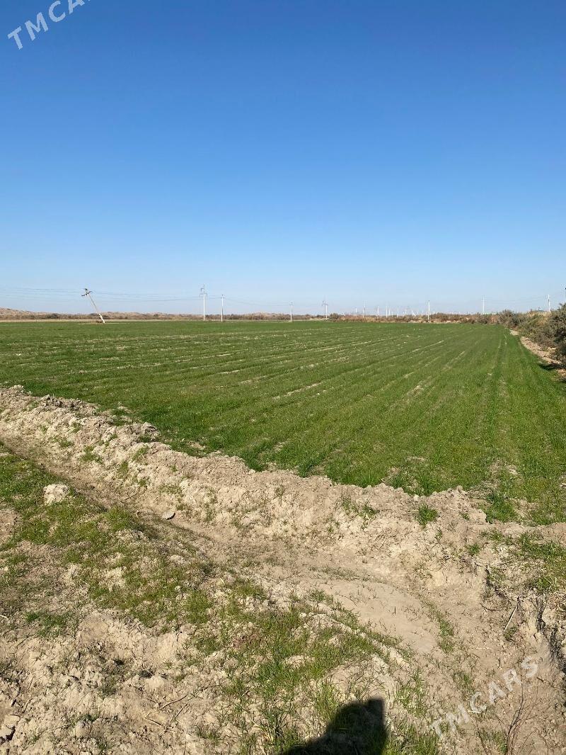 mellek yer satlyk - Гёкдепе - img 10