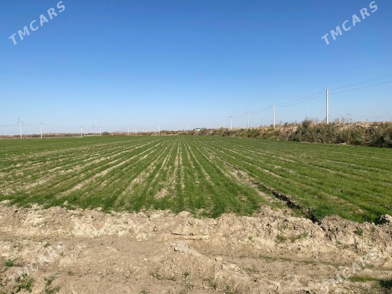 mellek yer satlyk - Гёкдепе - img 6