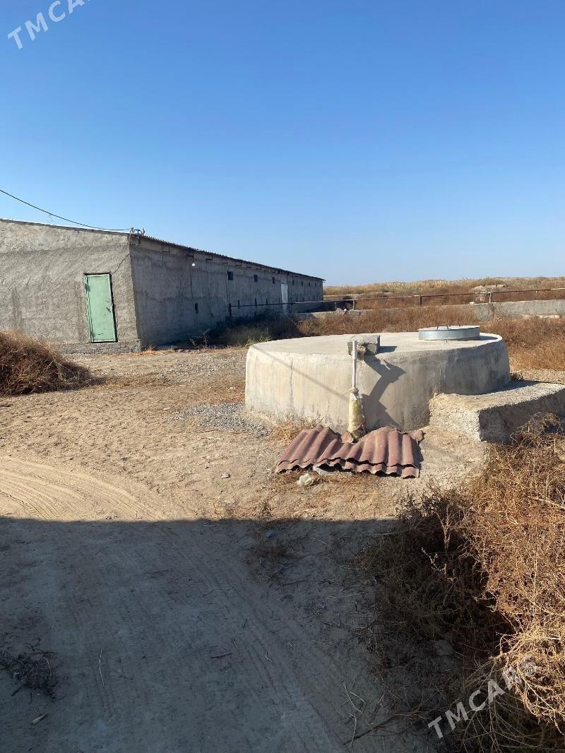 mellek yer satlyk - Гёкдепе - img 4