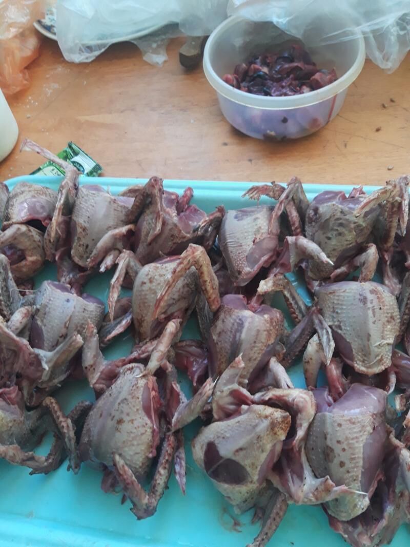 kepderler - Туркменабат - img 4