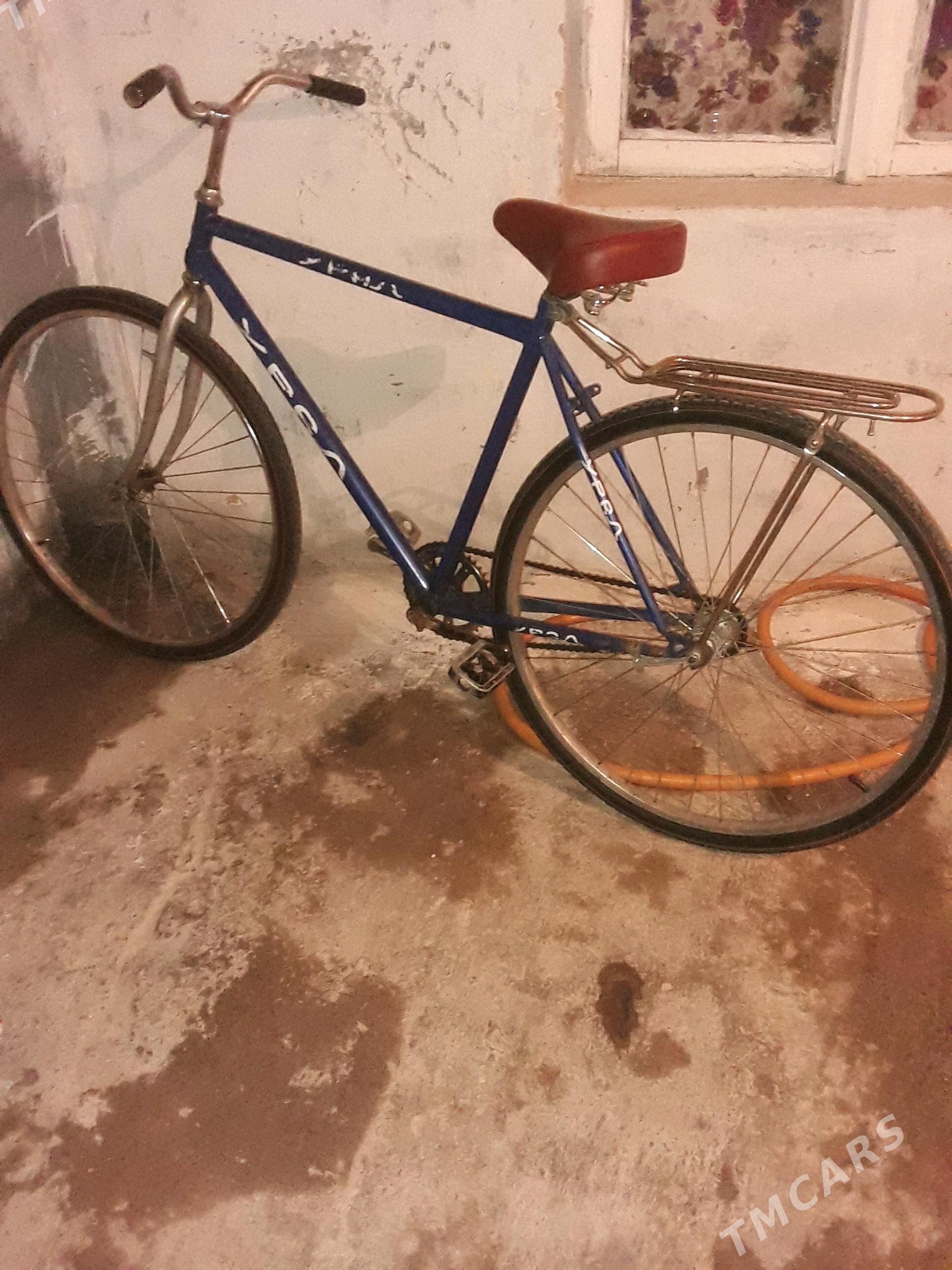 welsepet - Ашхабад - img 1