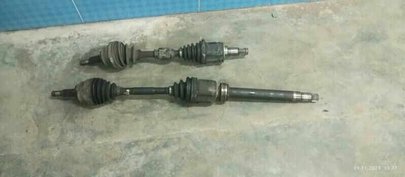 гранат granat 1 000 TMT - Türkmenabat - img 2