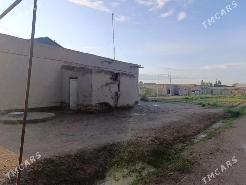 Uçaska - Кёнеургенч - img 2