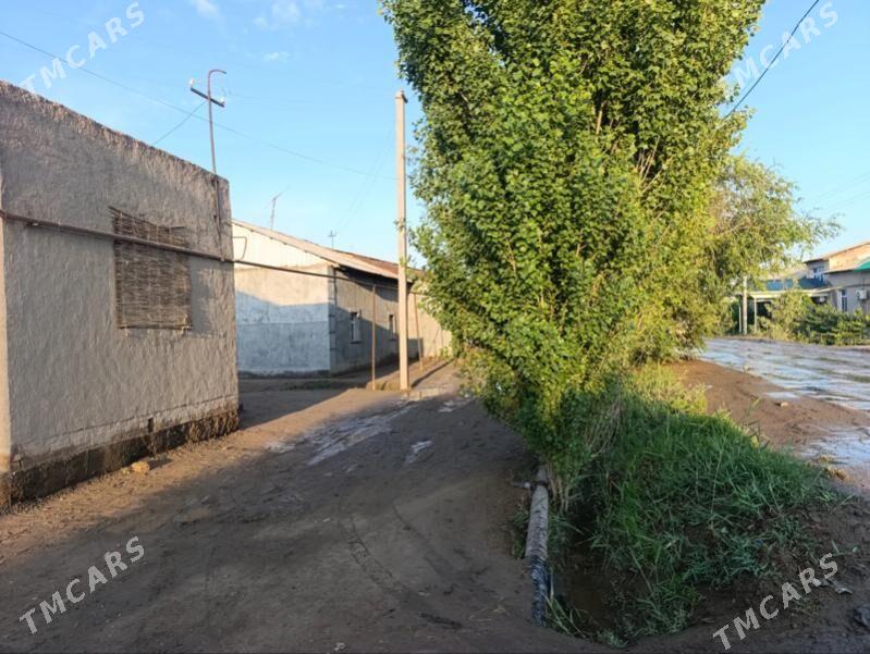 Uçaska - Кёнеургенч - img 3