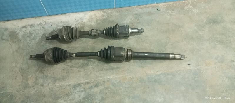 гранат granat 1 000 TMT - Türkmenabat - img 1