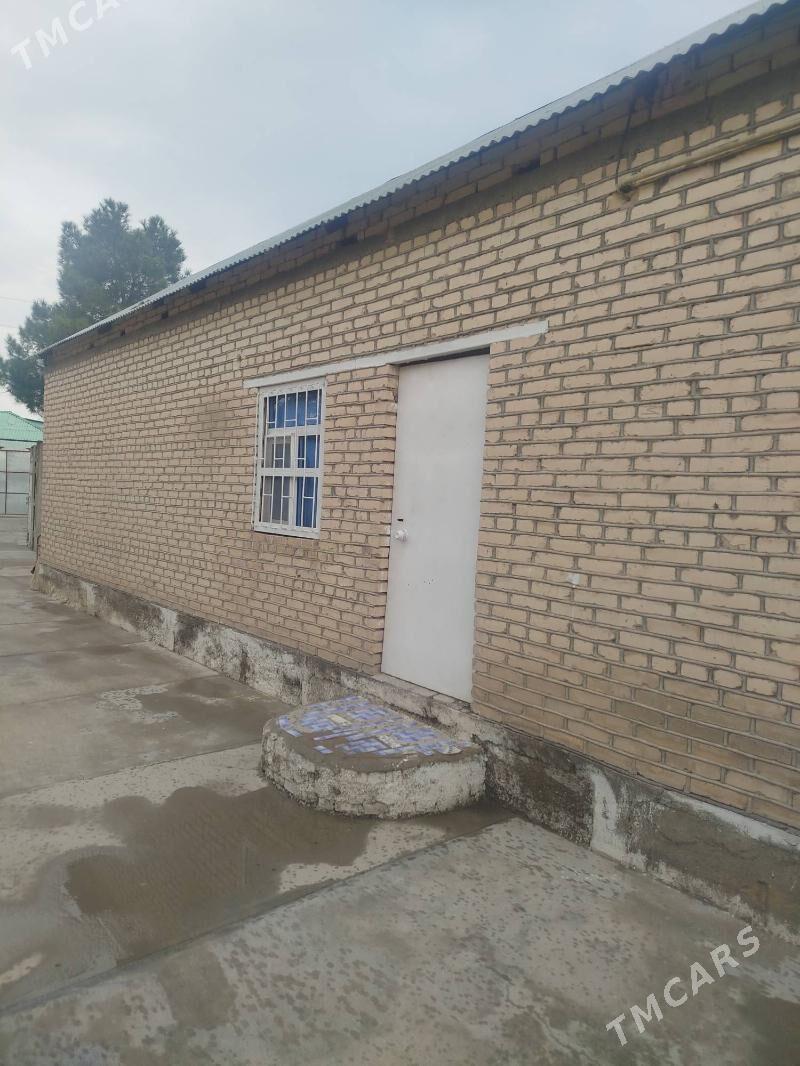 satlyk jay - Анев - img 2