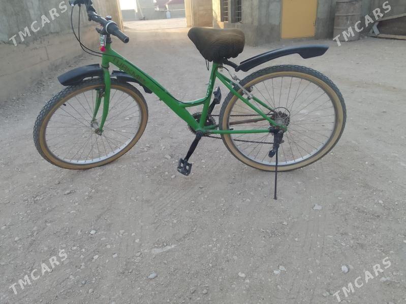 welik - Гумдаг - img 3