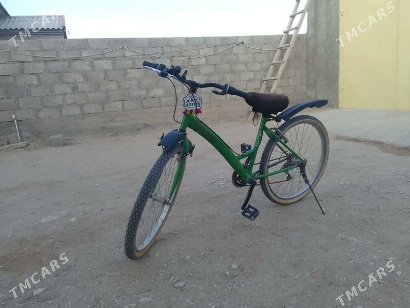 welik - Гумдаг - img 2