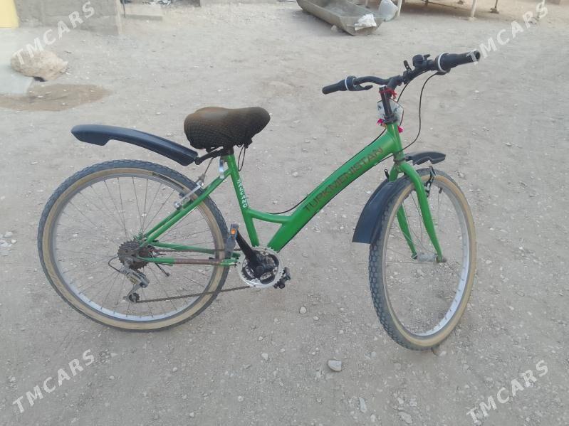 welik - Гумдаг - img 4