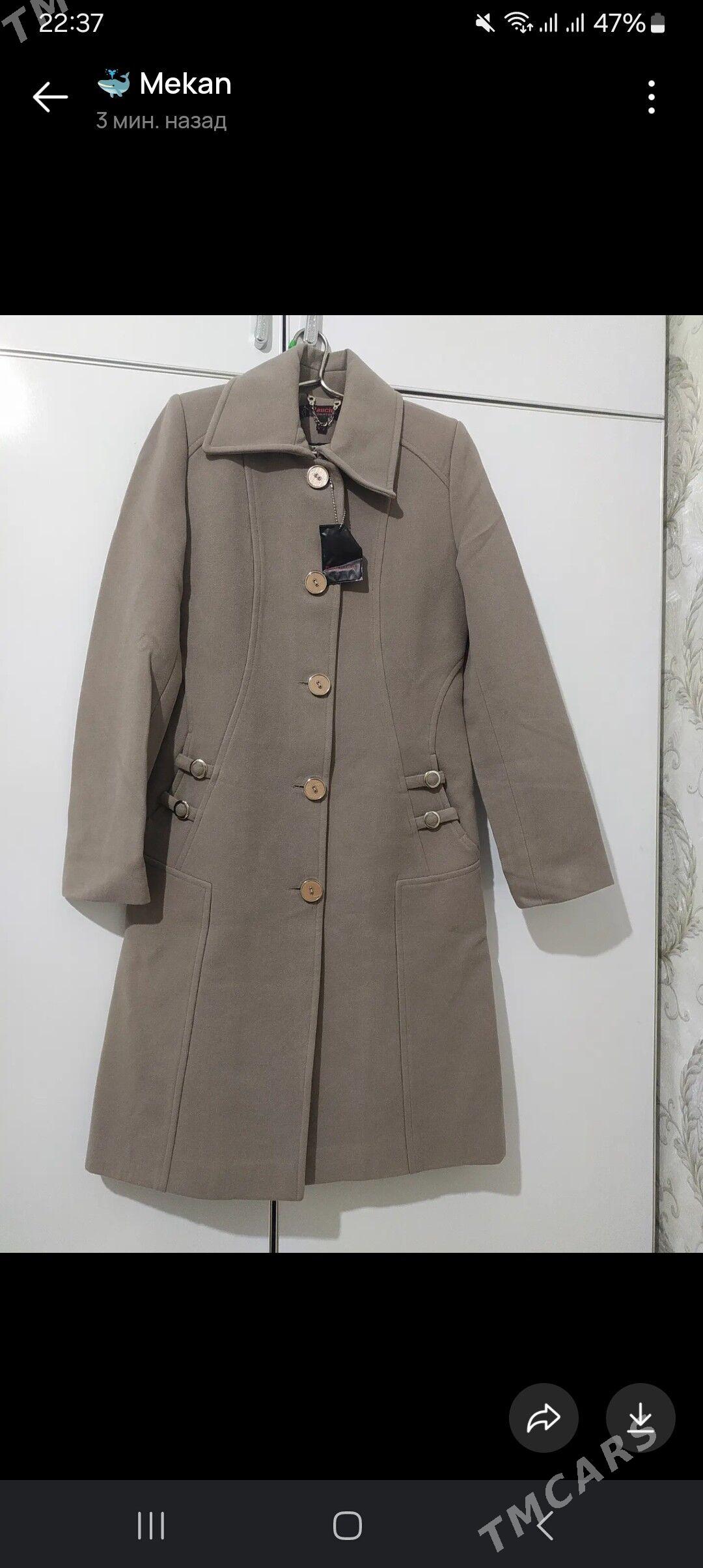 Palto - Кëши - img 2