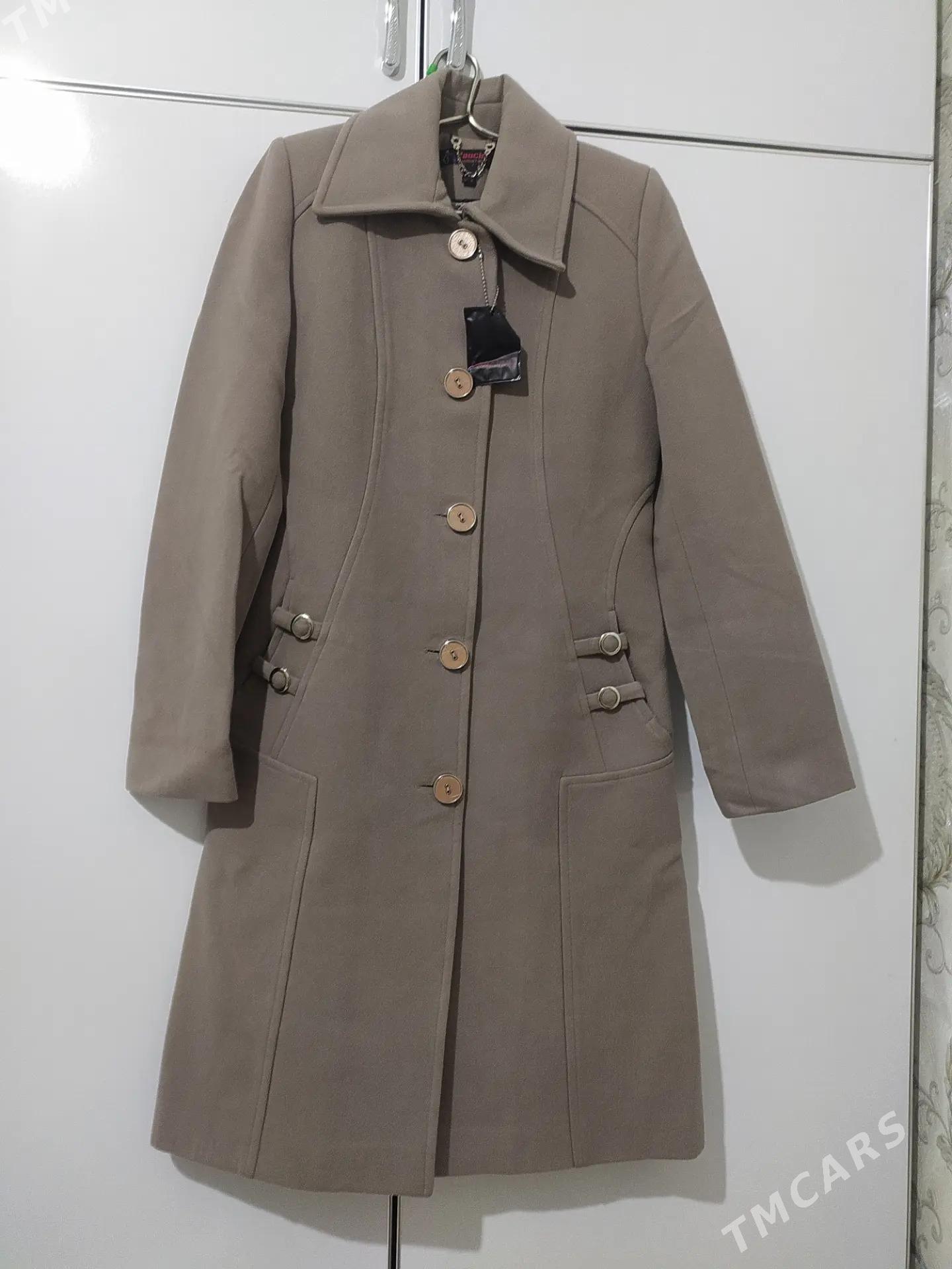 Palto - Кëши - img 1