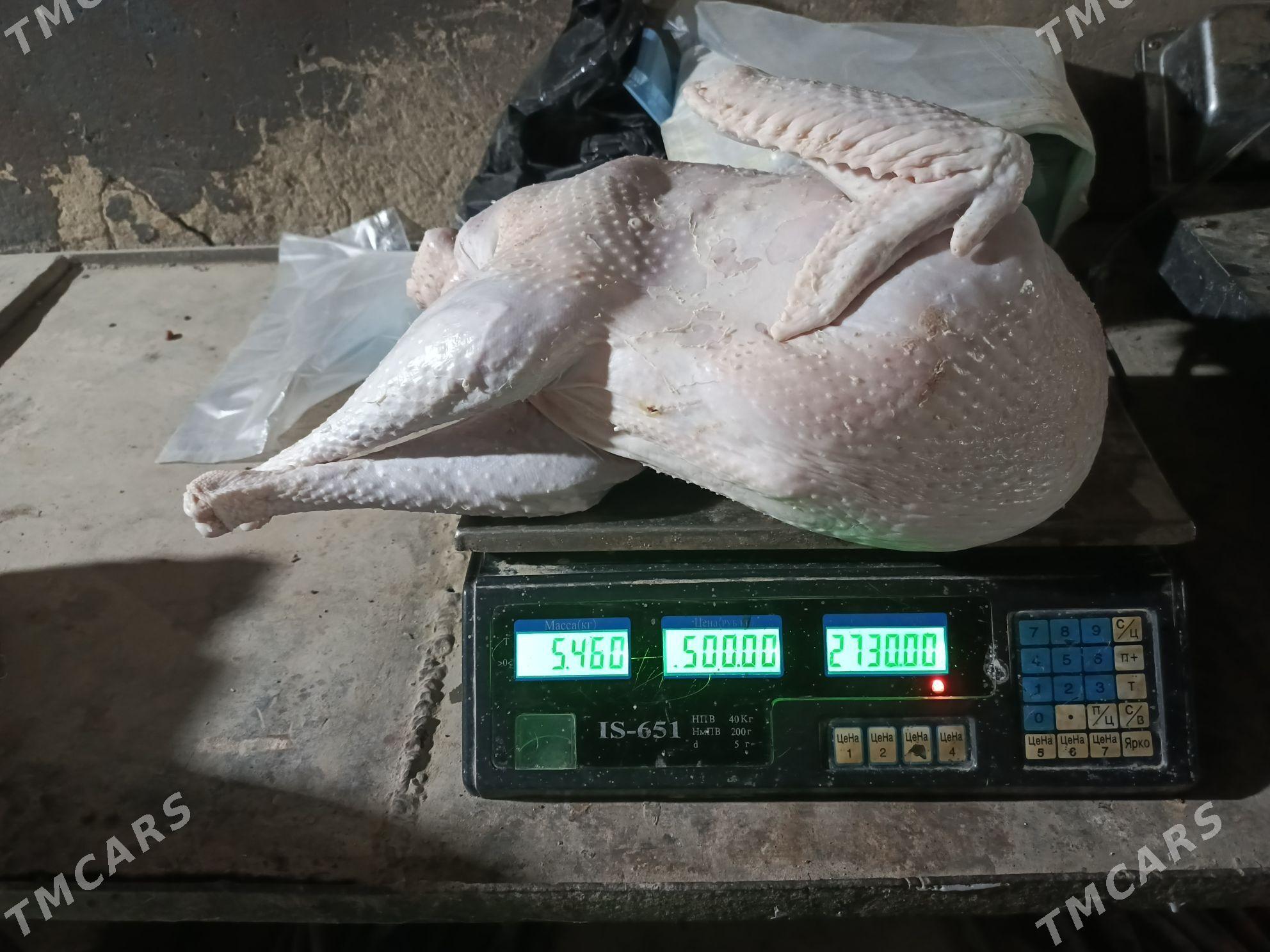 elin induk et - Aşgabat - img 2