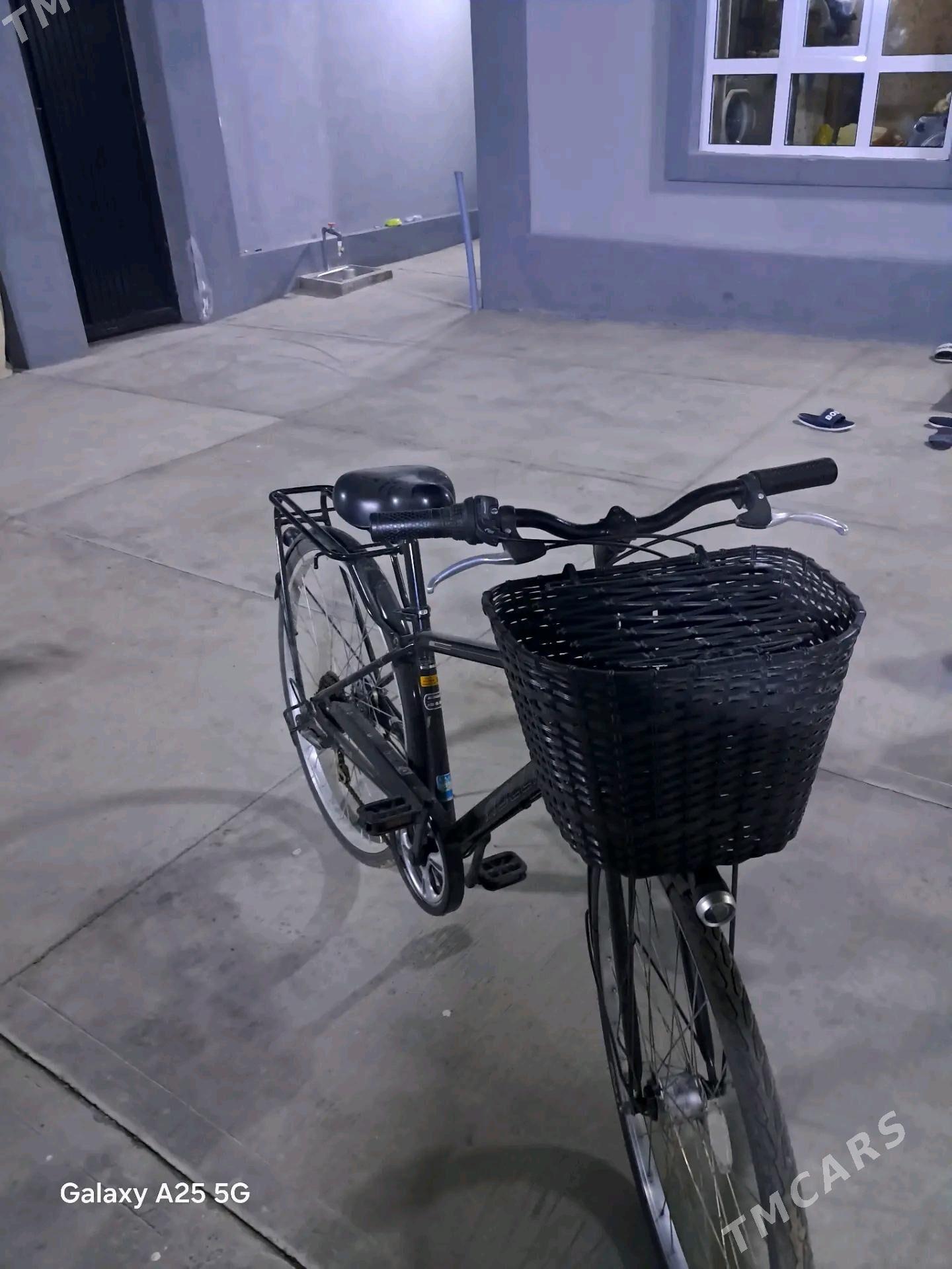 Tigir yaposga - Чоганлы - img 2