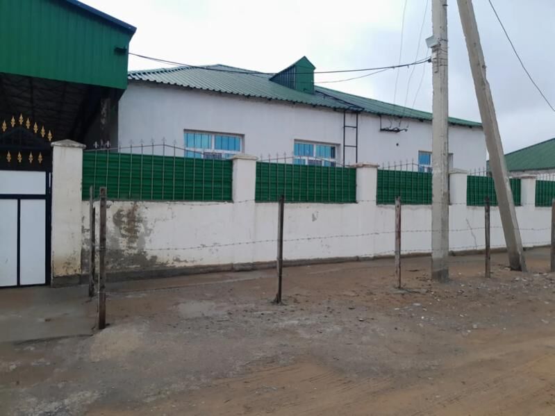 satlyk jay onally - Änew - img 2