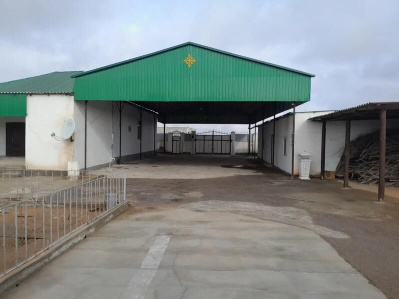 satlyk jay onally - Änew - img 3