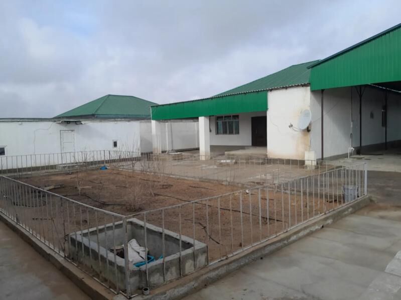 satlyk jay onally - Änew - img 8