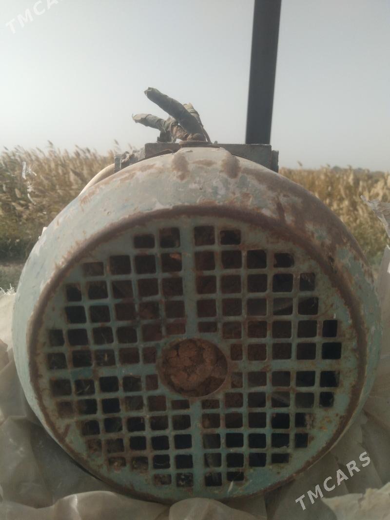 Elektromator - Tejen - img 9