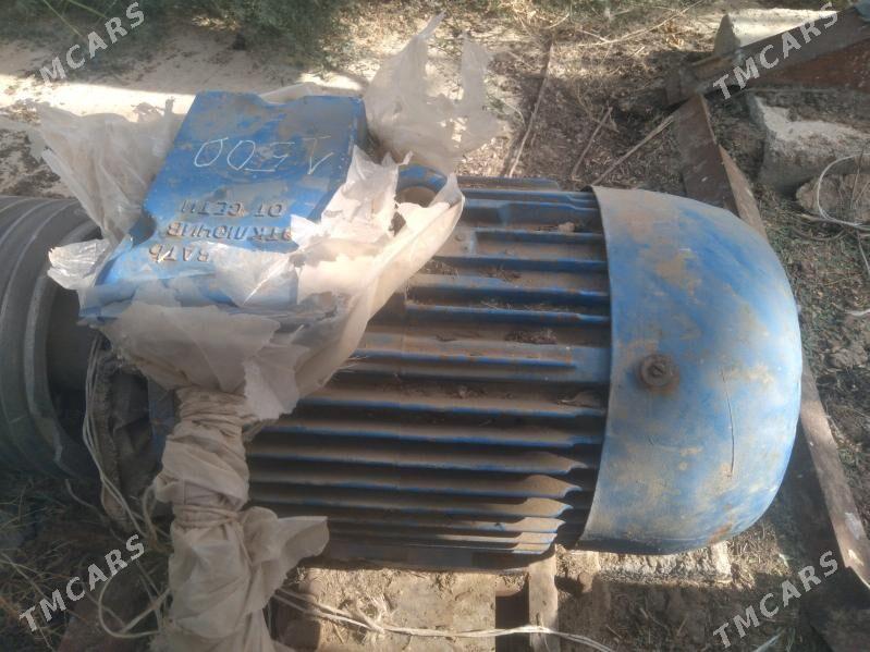 Elektromator - Tejen - img 5