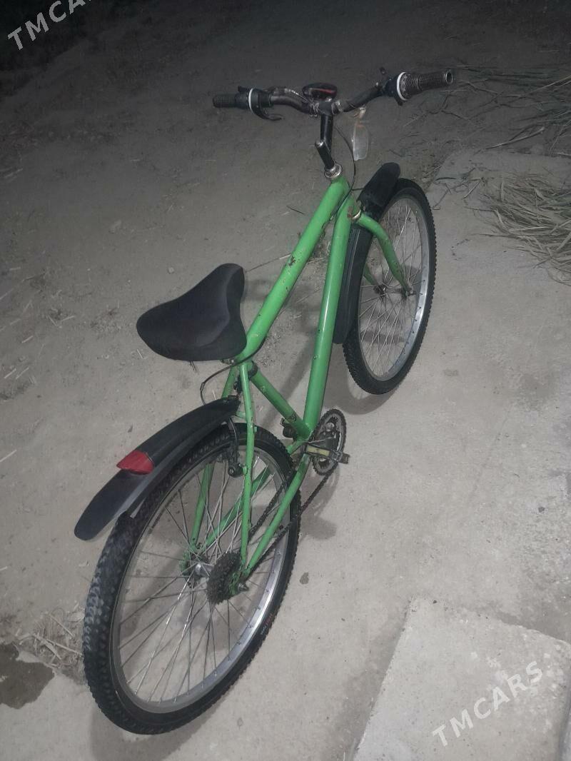 tigr - Gökdepe - img 2