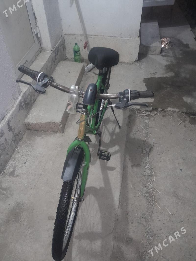 tigr - Gökdepe - img 3