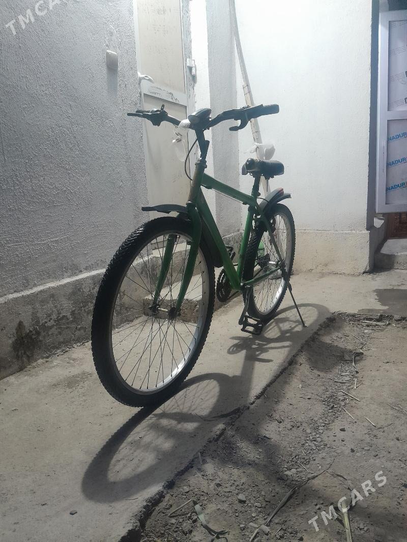 tigr - Gökdepe - img 4