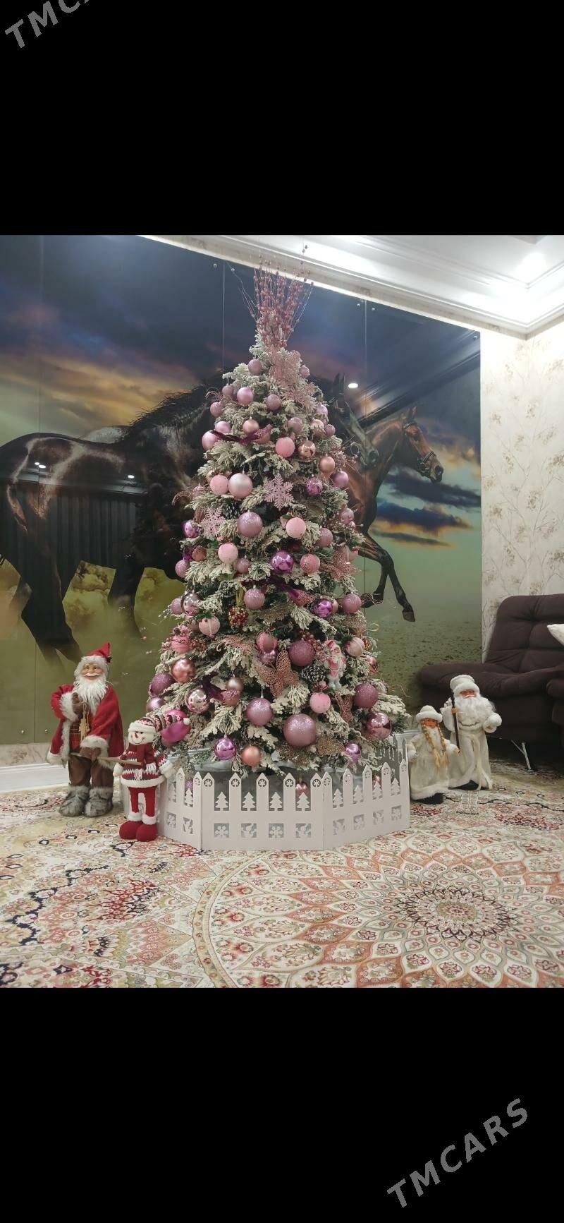 yolka - Aşgabat - img 3