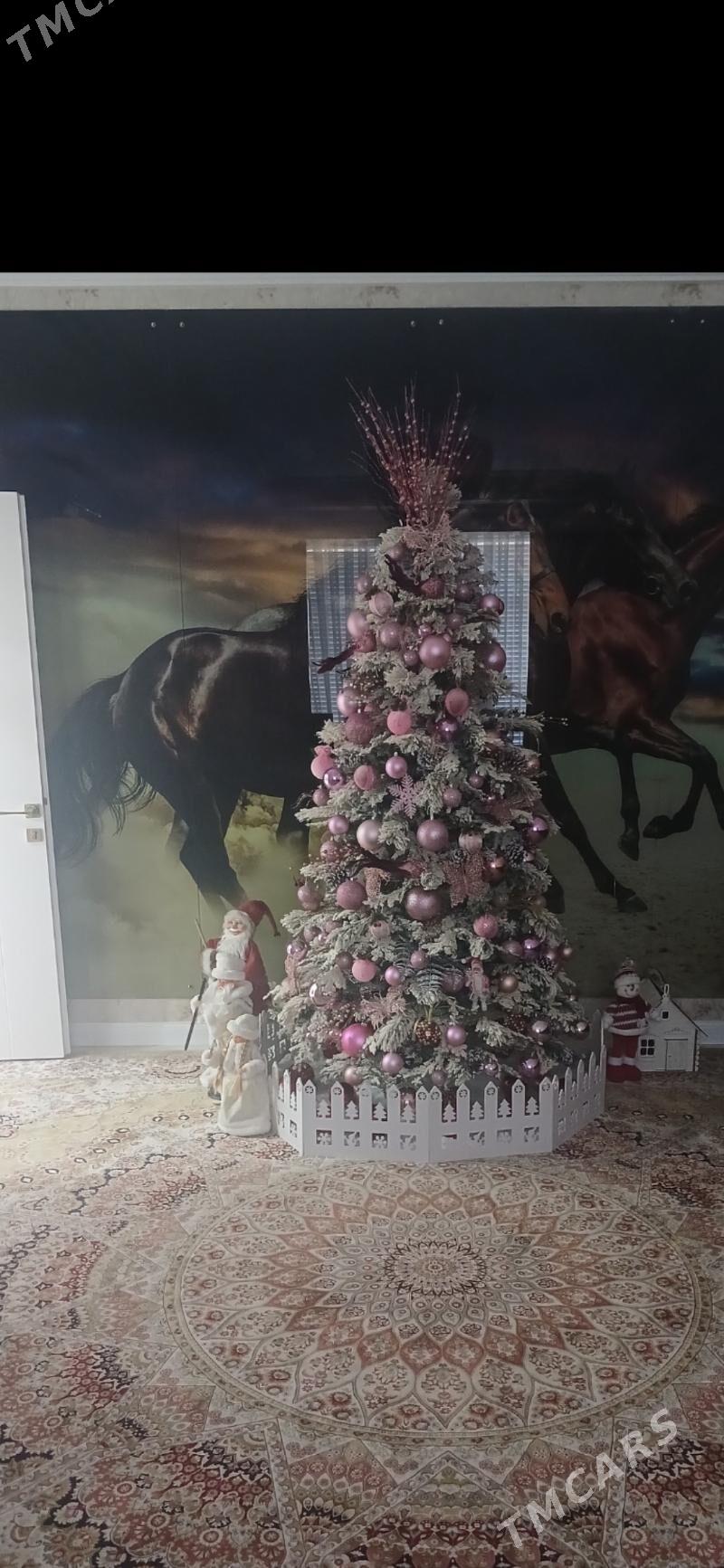 yolka - Aşgabat - img 4