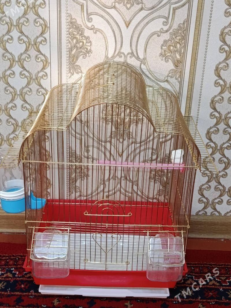 Gus kletka - Ашхабад - img 2