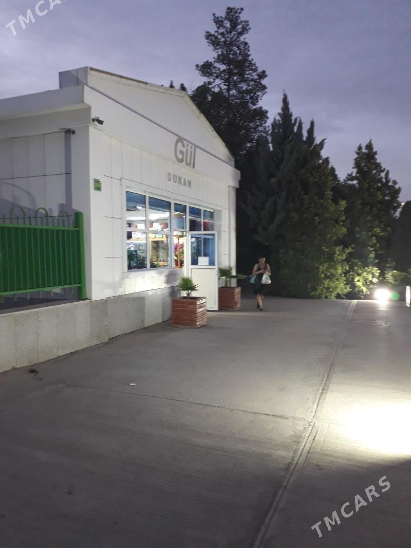 ARENDA  MANGAL - Ашхабад - img 7