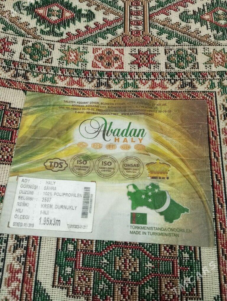 HALY 3×2 - Балканабат - img 2