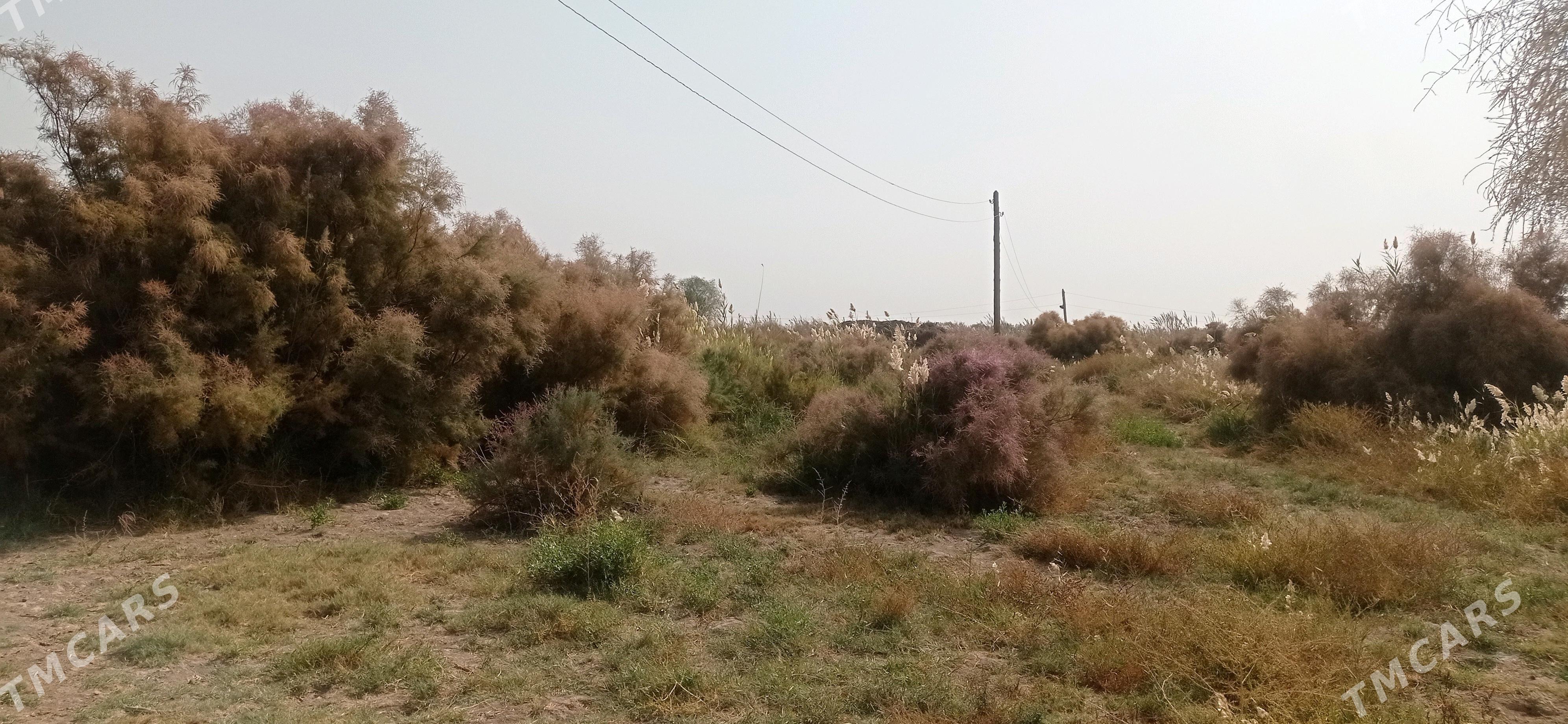 boş mellek ýer. - Baýramaly - img 2