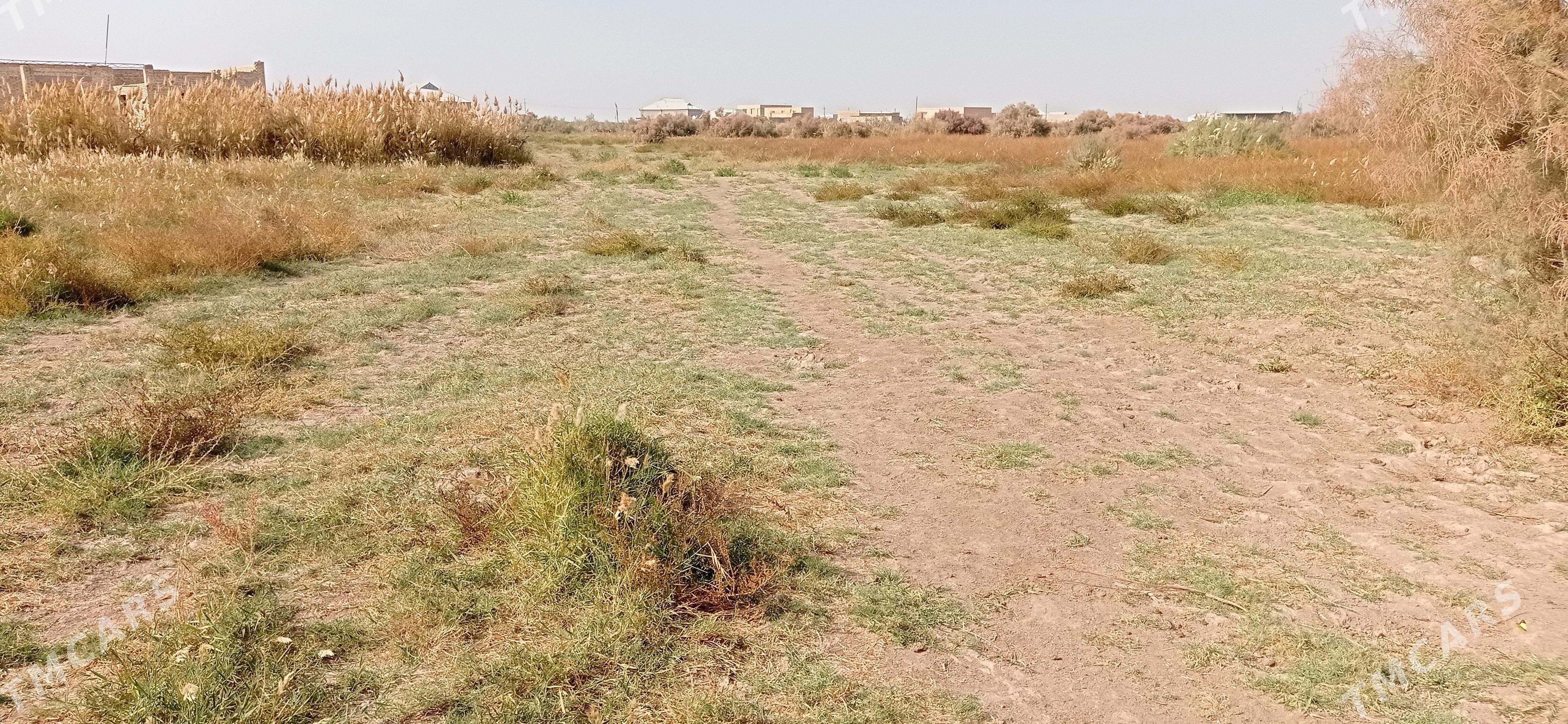 boş mellek ýer. - Baýramaly - img 1