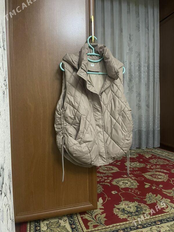 Ýeňsiz kurtga - Balkanabat - img 2