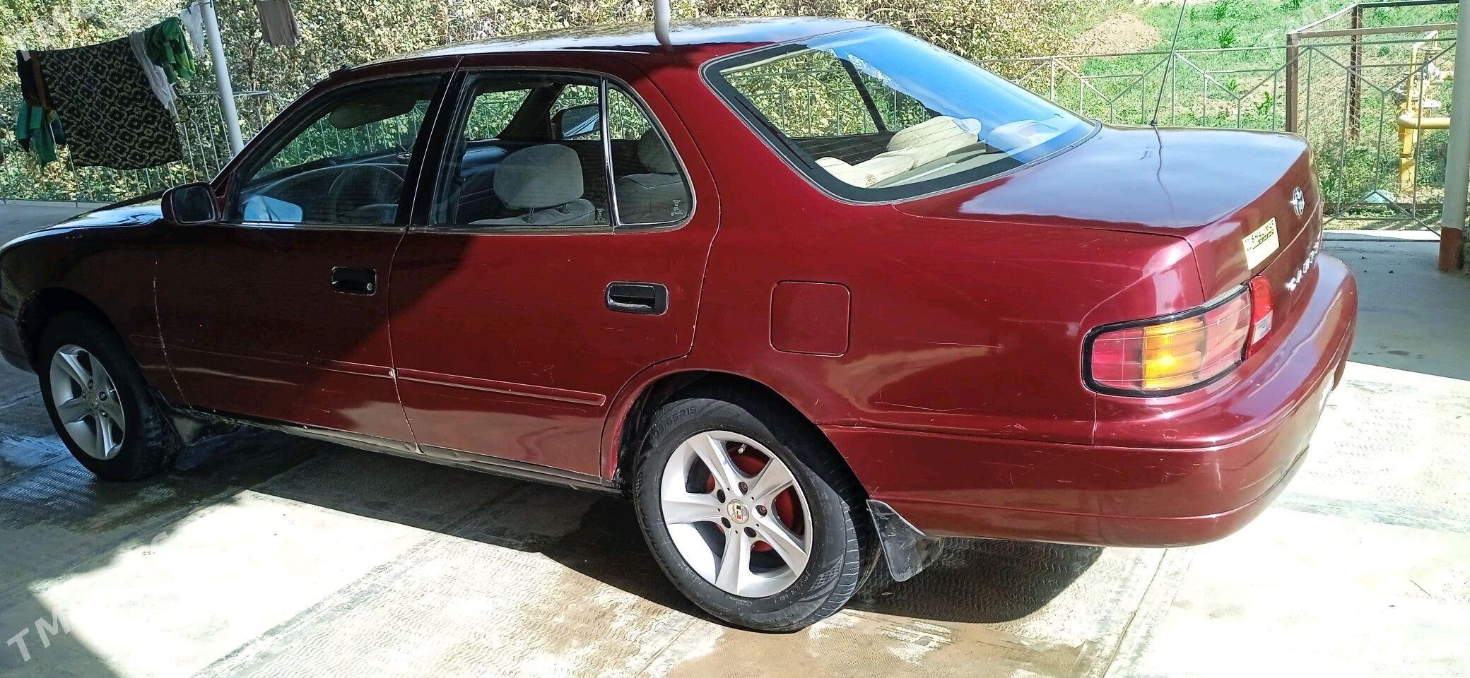 Toyota Camry 1995 - 80 000 TMT - Sakarçäge - img 5