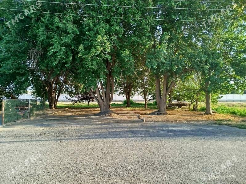 Plan jay,Плановый дом 8sotok - Бекреве - img 9