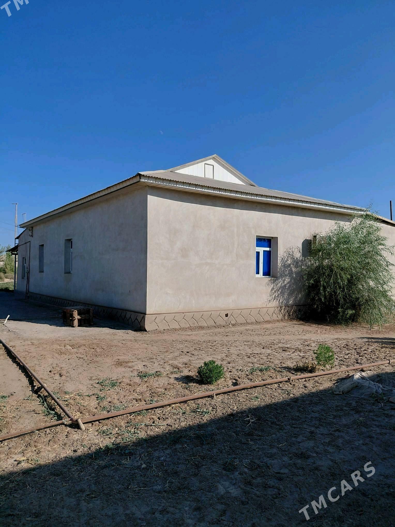 satlyk jay - Кёнеургенч - img 1