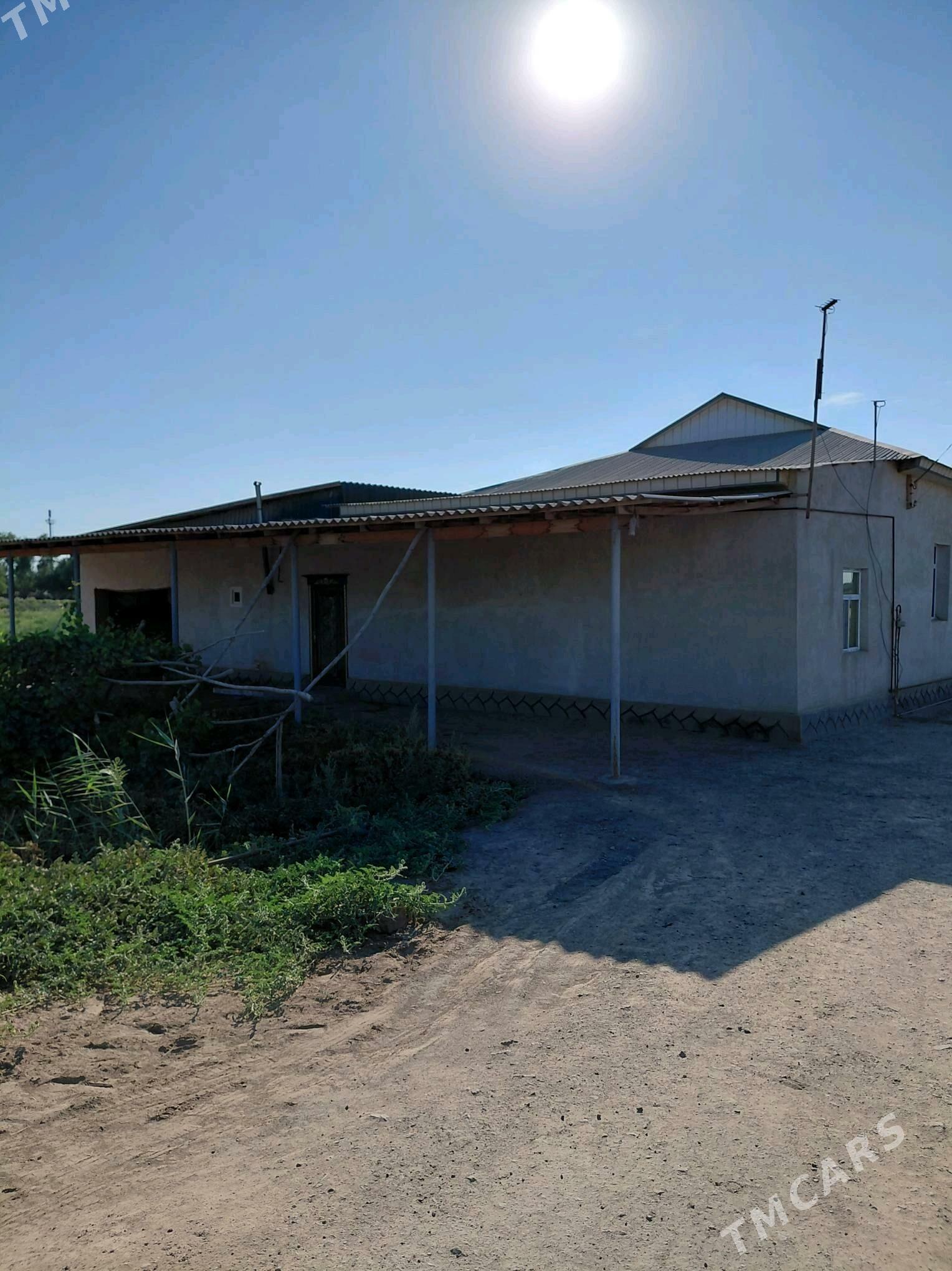 satlyk jay - Кёнеургенч - img 2