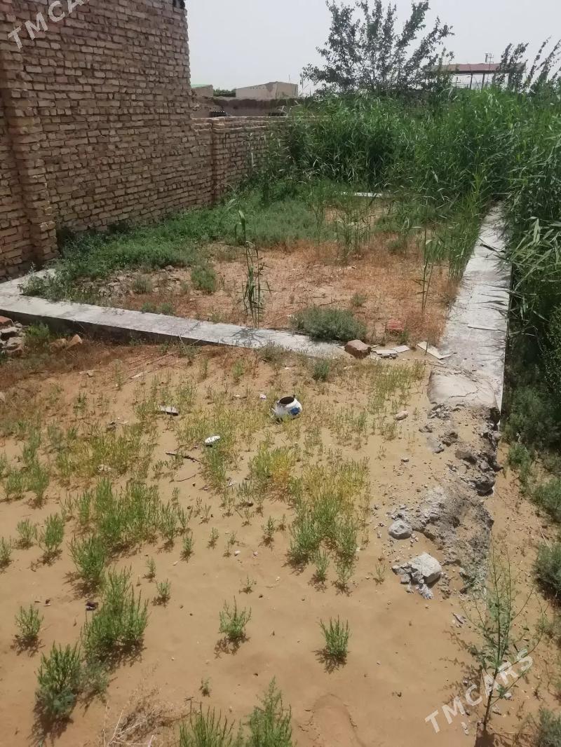 продается дача - Туркменабат - img 6